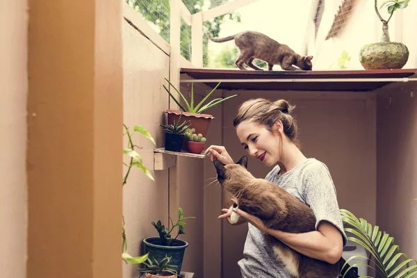 Mulher brincando com gato — Fotografia de Stock
