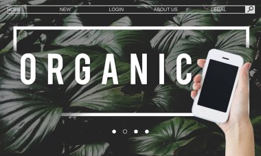 Akıllı telefon kullanan kişi.