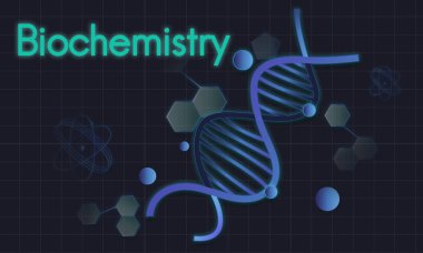 tasarım şablonu sayfa