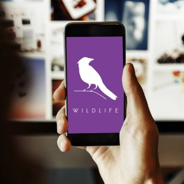 Akıllı telefon kullanan adam