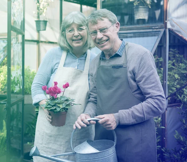 Feliz casal sênior — Fotografia de Stock