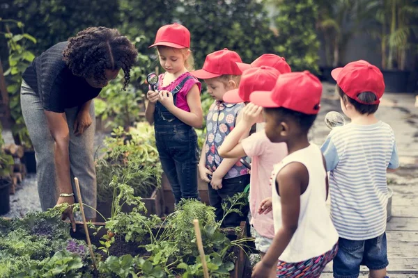 Kleine Studenten lernen Botanik — Stockfoto