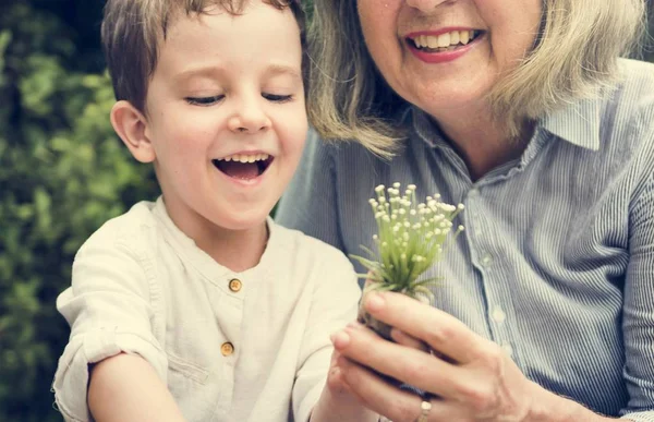 Babcia i wnuk sadzenia w ogrodzie — Zdjęcie stockowe