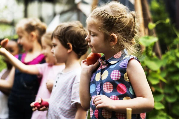 Niños sosteniendo verduras — Foto de Stock