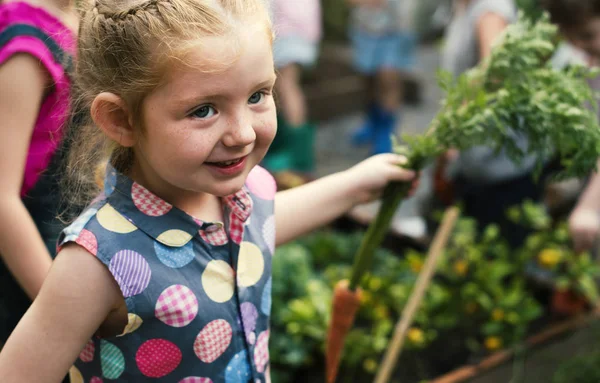 Liten flicka plantering vegetabiliska — Stockfoto