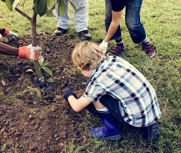 La gente pianta un albero — Foto Stock