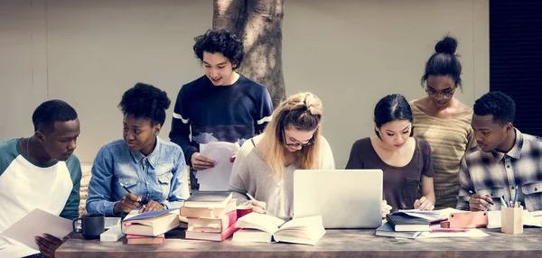 Studenti di diversità studiare — Foto Stock