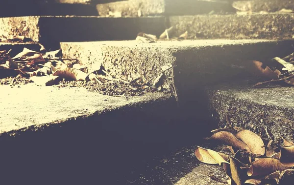 Autumn Leaves on Cement Steps — Stock Photo, Image