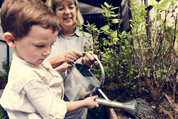 Mormor och barnbarn vattna växter — Stockfoto