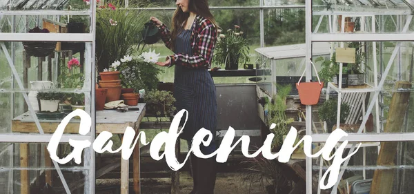 Mujer regando flores en invernadero — Foto de Stock