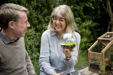 üst düzey çift dikim succulents. 