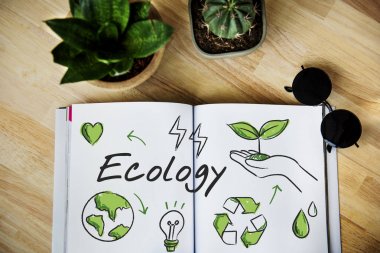 otebook ve bitkiler üzerinde tablo