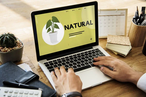 Human working on laptop — Stock Photo, Image