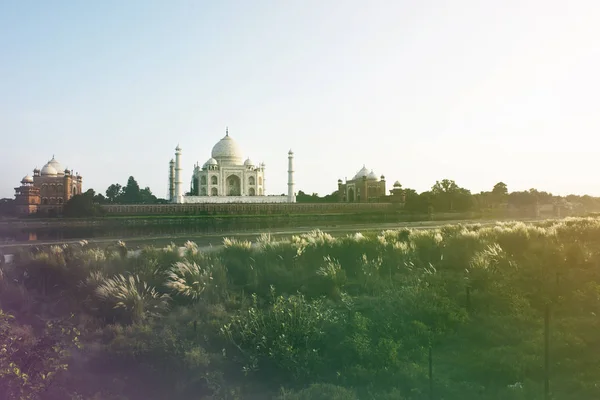 Taj mahal indio —  Fotos de Stock
