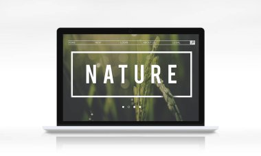 Web tasarım şablonu dizüstü