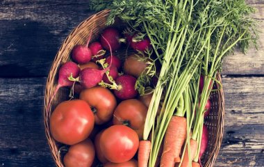 taze toplanmış sebze 