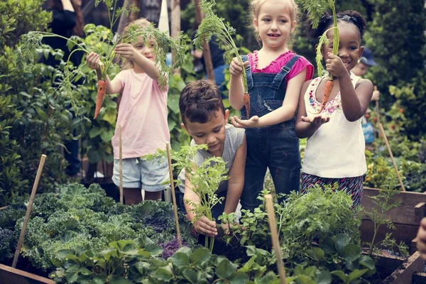 Bambini che lavorano in giardino — Foto Stock