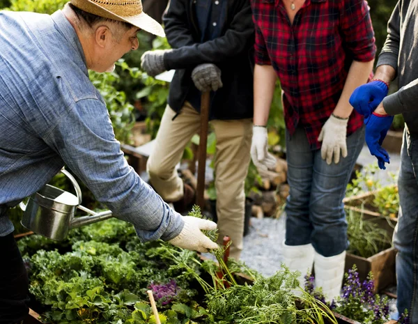 Gente jardinería en el patio trasero — Foto de Stock