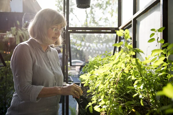 Mulher sênior plantando flores — Fotografia de Stock