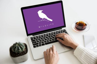 Dizüstü bilgisayarda çalışan kadın