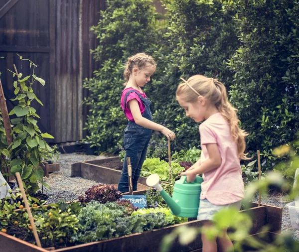 Niños aprendiendo jardinería al aire libre — Foto de Stock