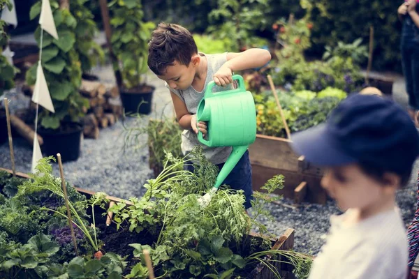 Anak-anak menyiram tanaman — Stok Foto