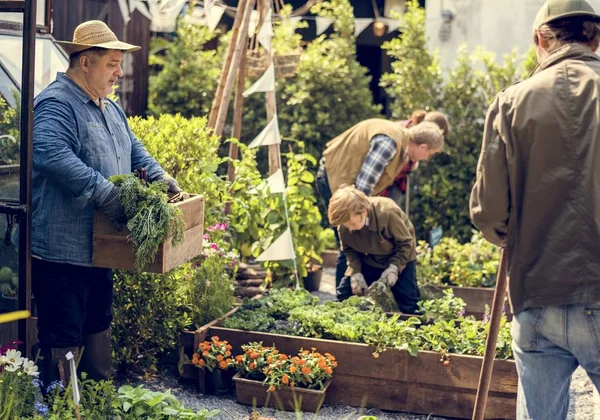 Personas plantando verduras — Foto de Stock