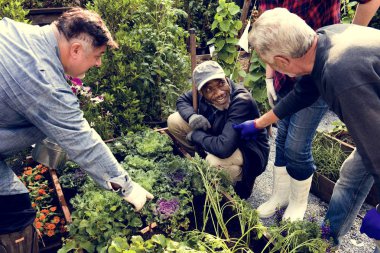  insanlar birlikte üzerinde arka bahçe