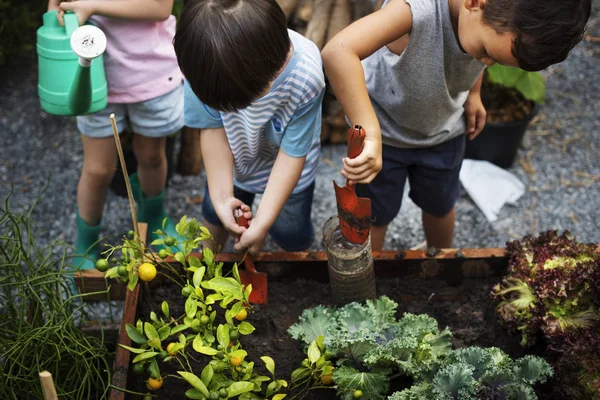Lingkungan Belajar Anak di Pertanian — Stok Foto