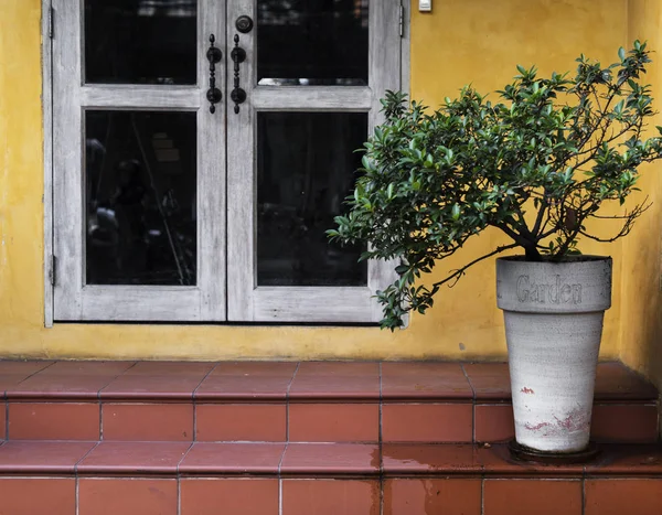 Fiori in vaso vicino alla porta della casa — Foto Stock