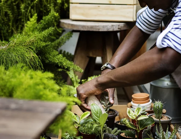 Afrikaanse man aan het werk in bloemen winkel — Stockfoto