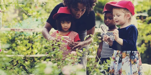 Estudiantes pequeños que aprenden botánica — Foto de Stock