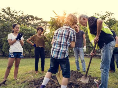 insanlar bir ağaç bitki