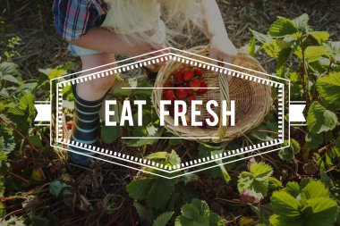 kadın çilek sepeti için tespit