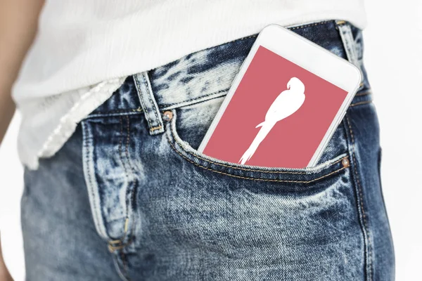Bayan kot pantolon cebinde Smartphone — Stok fotoğraf