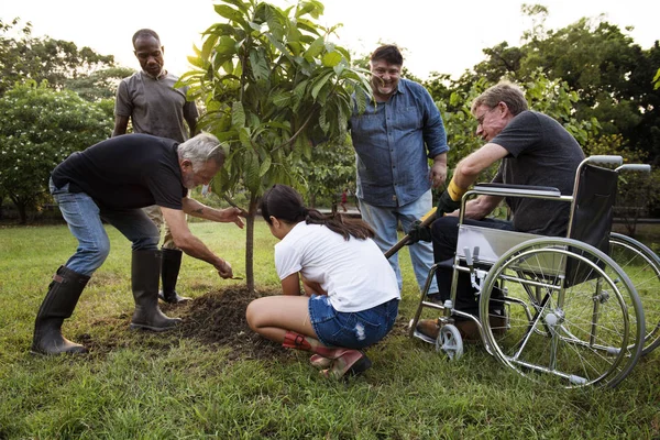 La gente planta un árbol —  Fotos de Stock