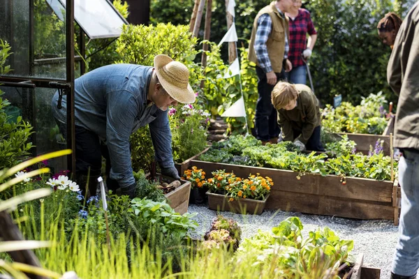 Люди садоводства на заднем дворе вместе — стоковое фото