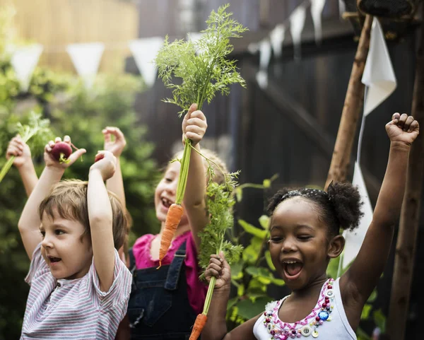 Kinderen leeromgeving op plantaardige boerderij — Stockfoto