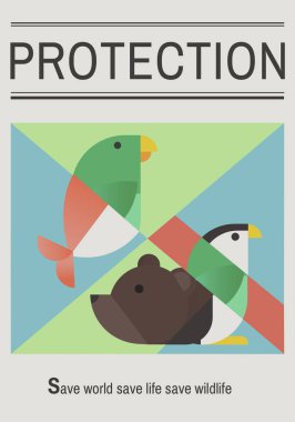 tasarım şablonu sayfa