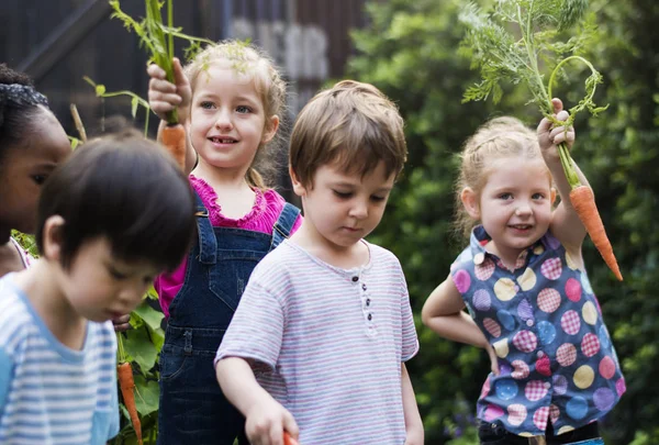 Děti drží zelenina — Stock fotografie