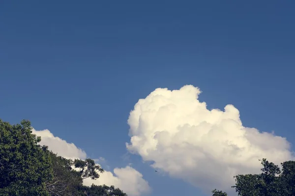 Schöner Himmel mit Wolken — Stockfoto