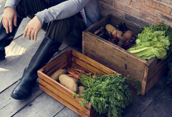 Dospělých lidí, kteří sedí s čerstvou zeleninou — Stock fotografie