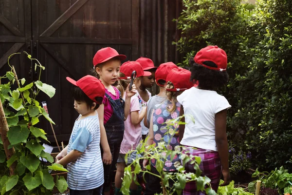 Petits étudiants apprenant la botanique — Photo