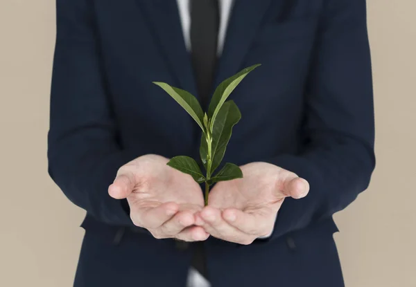 Mann hält Pflanze — Stockfoto