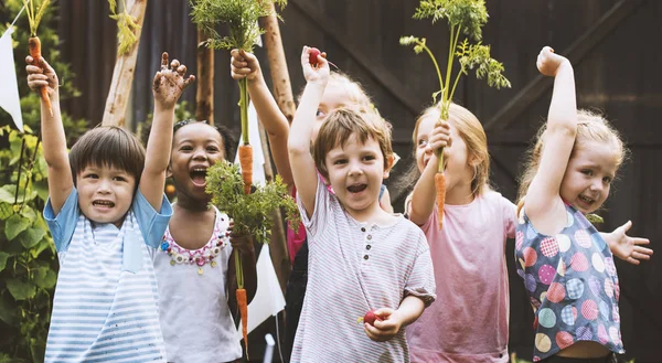 Kinder lernen auf Gemüsebauernhof — Stockfoto