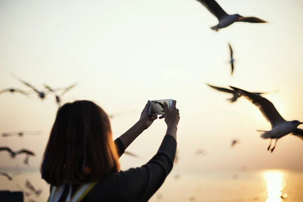 Mujer fotografiando aves — Foto de Stock
