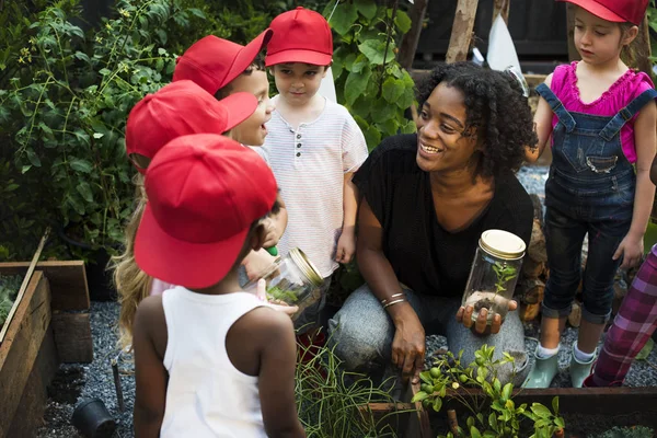 Kinder lernen auf dem Bauernhof — Stockfoto