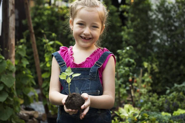 Girl Holding Tree in Hands — Stock Photo, Image