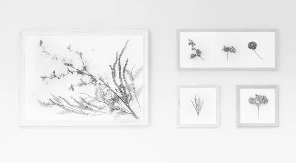 Desenho Flores em Frames — Fotografia de Stock