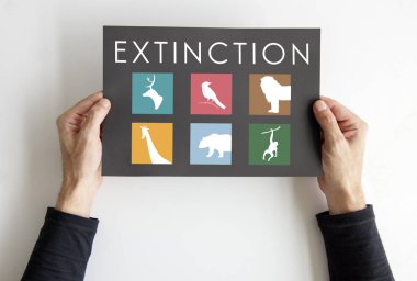  afişini holding eller